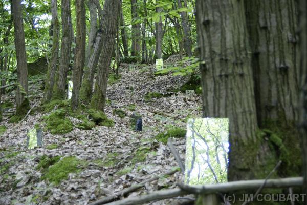 Diapositive suivante